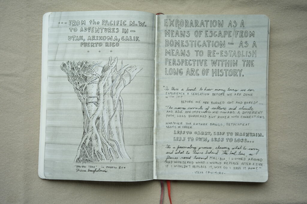 Field Journal Collective / Blue Book