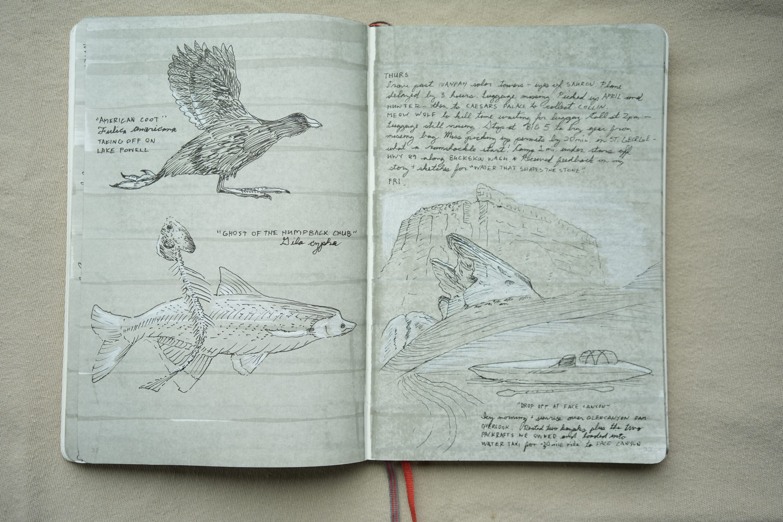 Field Journal Collective / Blue Book — page 4