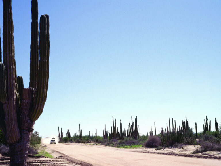 Frontera Sur