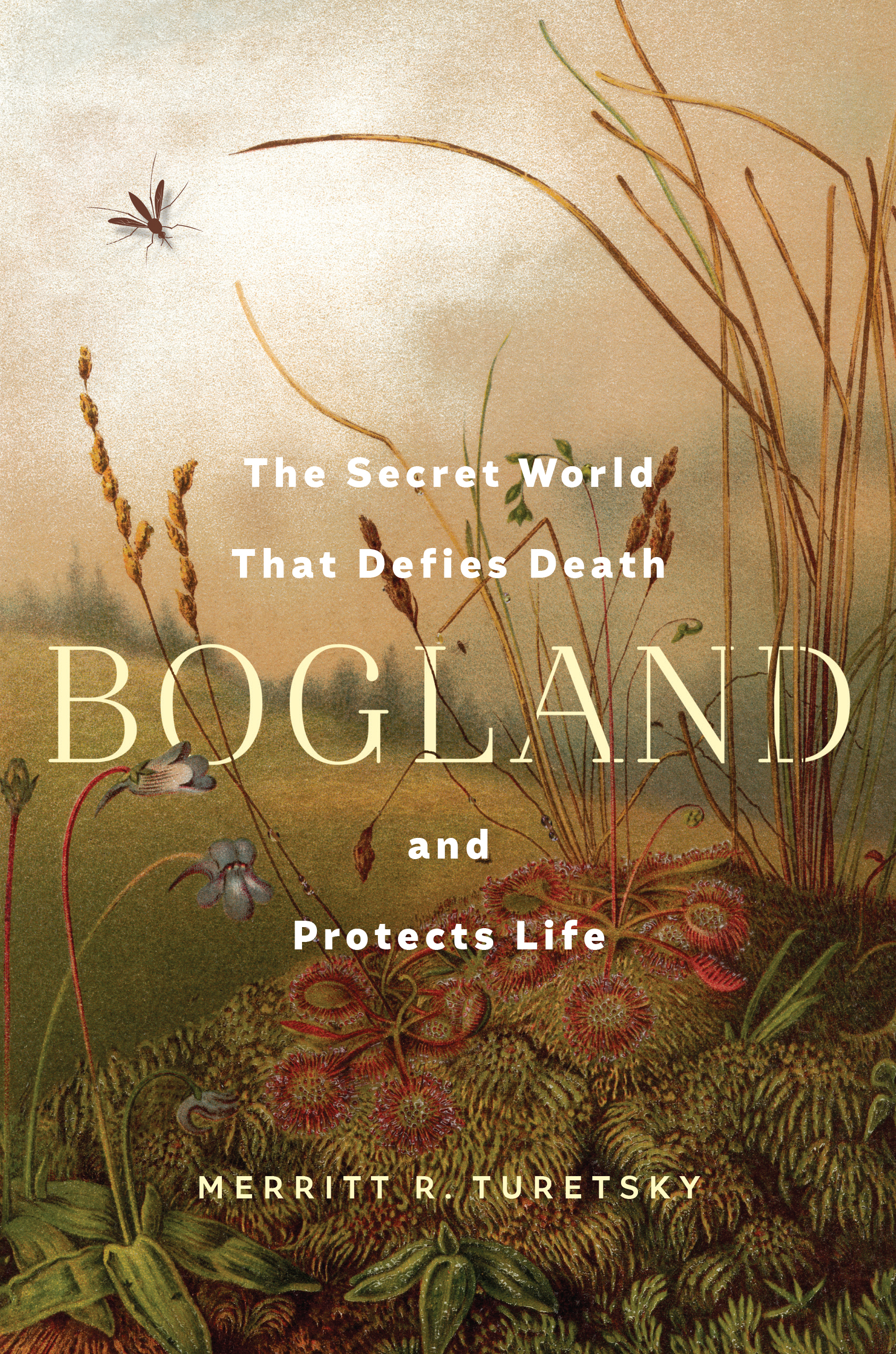 Bogland: The Secret World That Defies Death and Protects Life